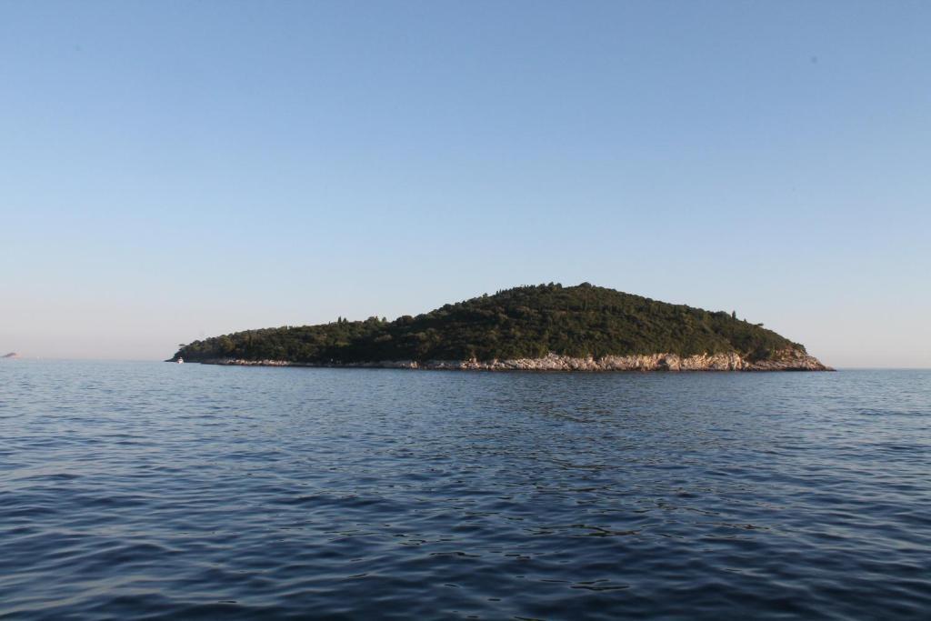 Tina Apartments Dubrovnik Zimmer foto